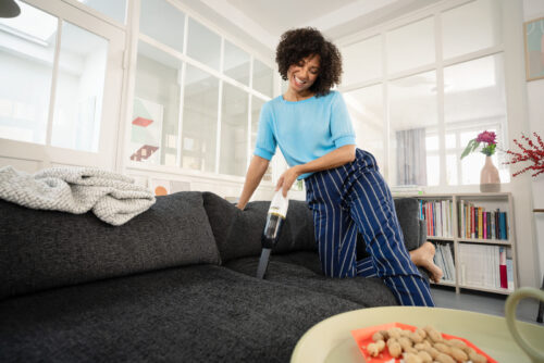 Karcher CVH 2 Handheld Vacuum Cleaner - Image 5