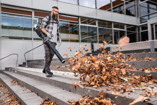 Karcher Professional Leaf Blower LB960/36 Bp - Image 4